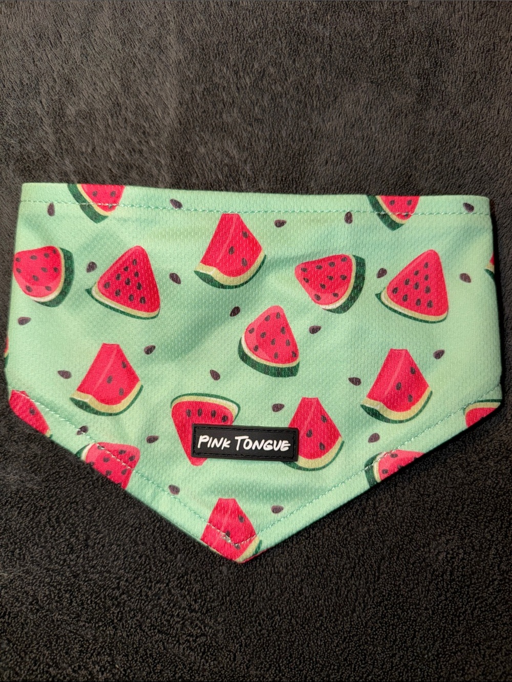 Pink Tongue Watermelon Dog Bandana